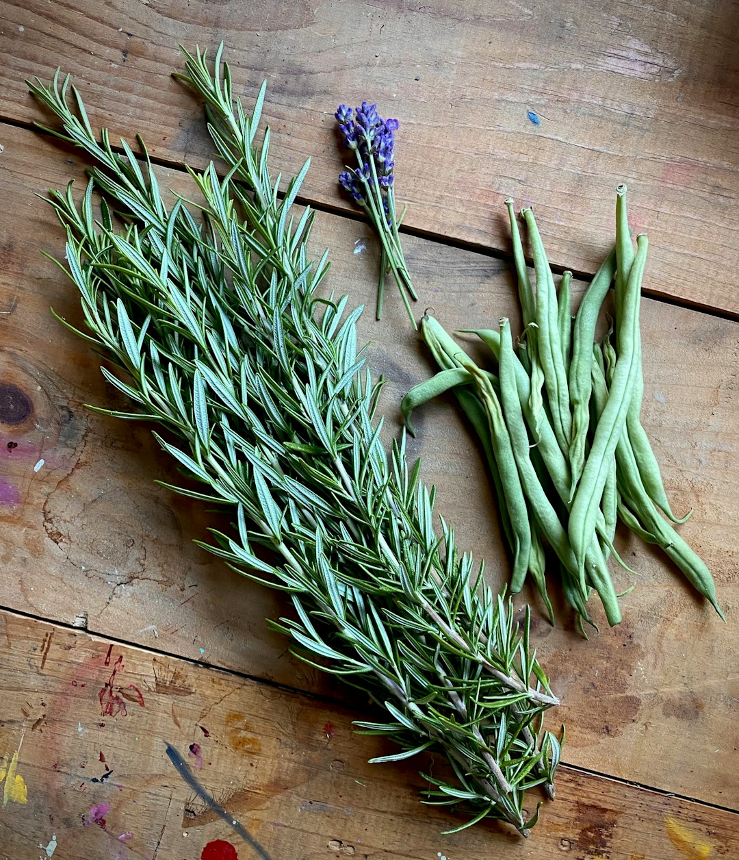 a-bunch-of-herbs-sitting-on-top-of-a-wooden-table-pqu9qan99i4