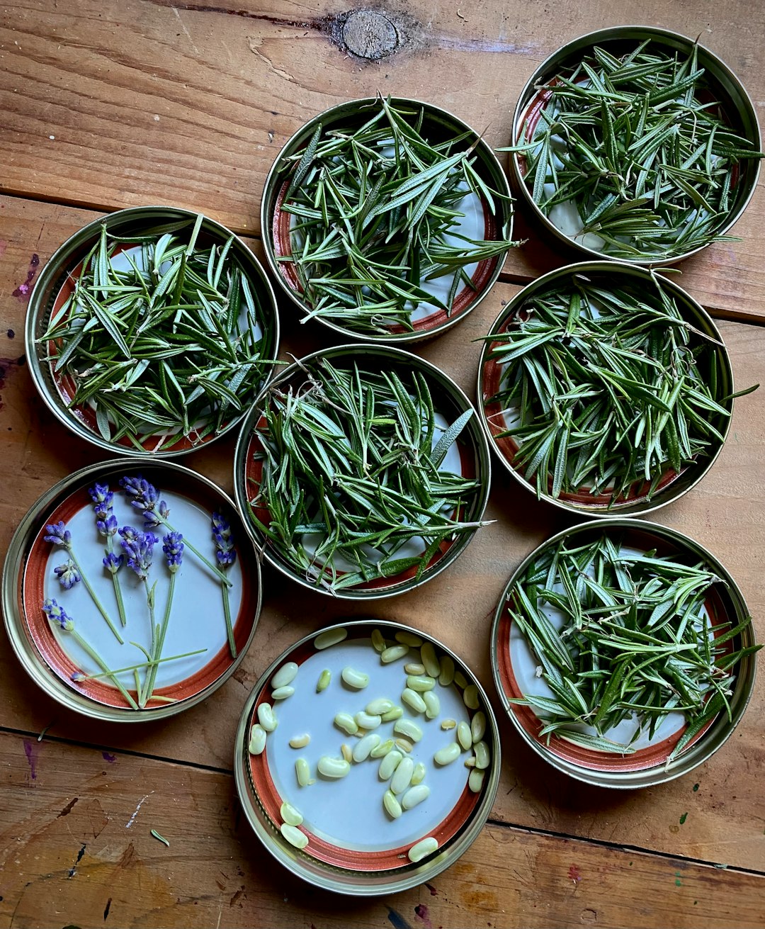 a-table-topped-with-bowls-filled-with-plants-xhechtzmrei