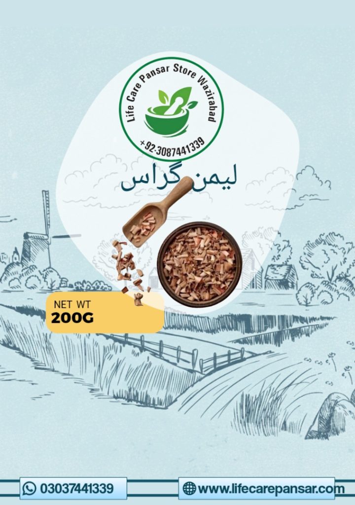chia seeds hakeem pansar portrait 1769845404280