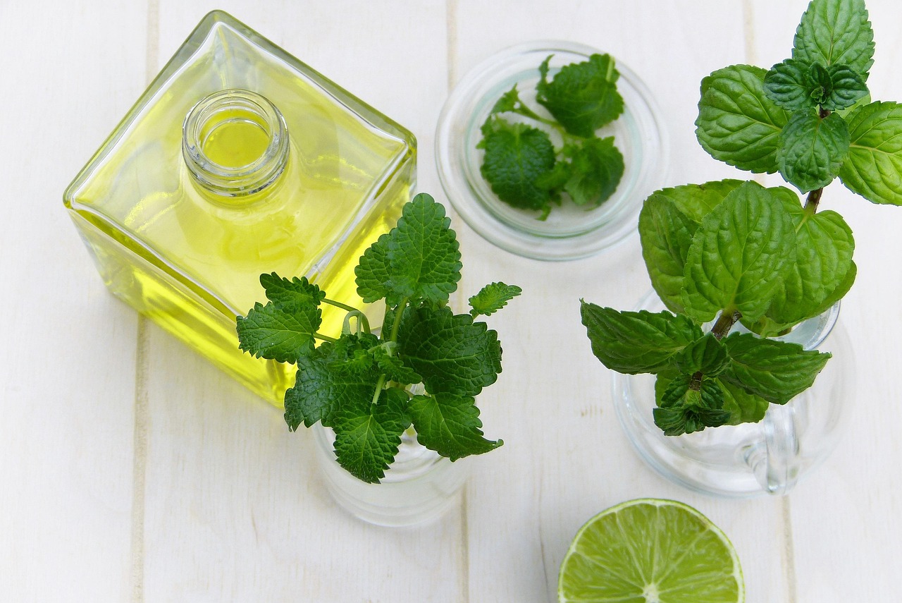 leaf, mint, herb, healthy, food, oil, essential oils, nourishment, medicinal plant, fresh, health, peppermint, lemon, balm, alternative medicine, immune system, depression, beauty, personal hygiene, aromatherapy, fragrance, wellness, nature, vitamins