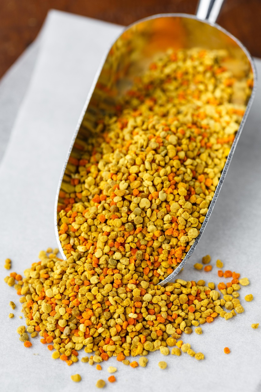 pollen, grain, yellow, natural, plant, bee, fresh, sweet, medicine, seeds, healthy, apiculture, nutrition, vitamin, food, medicinal, medical, remedy, treatment, nature, herbal, alternative, raw, therapy, scoop