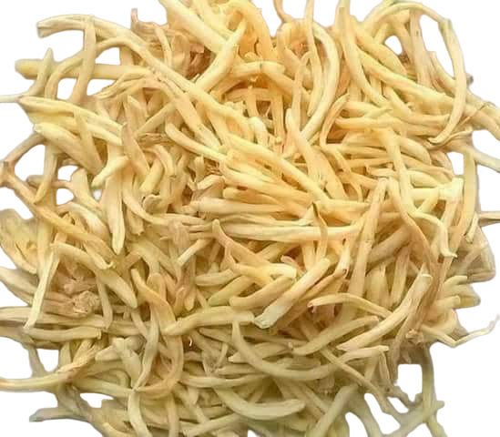 ai bg removed 1774258538540
